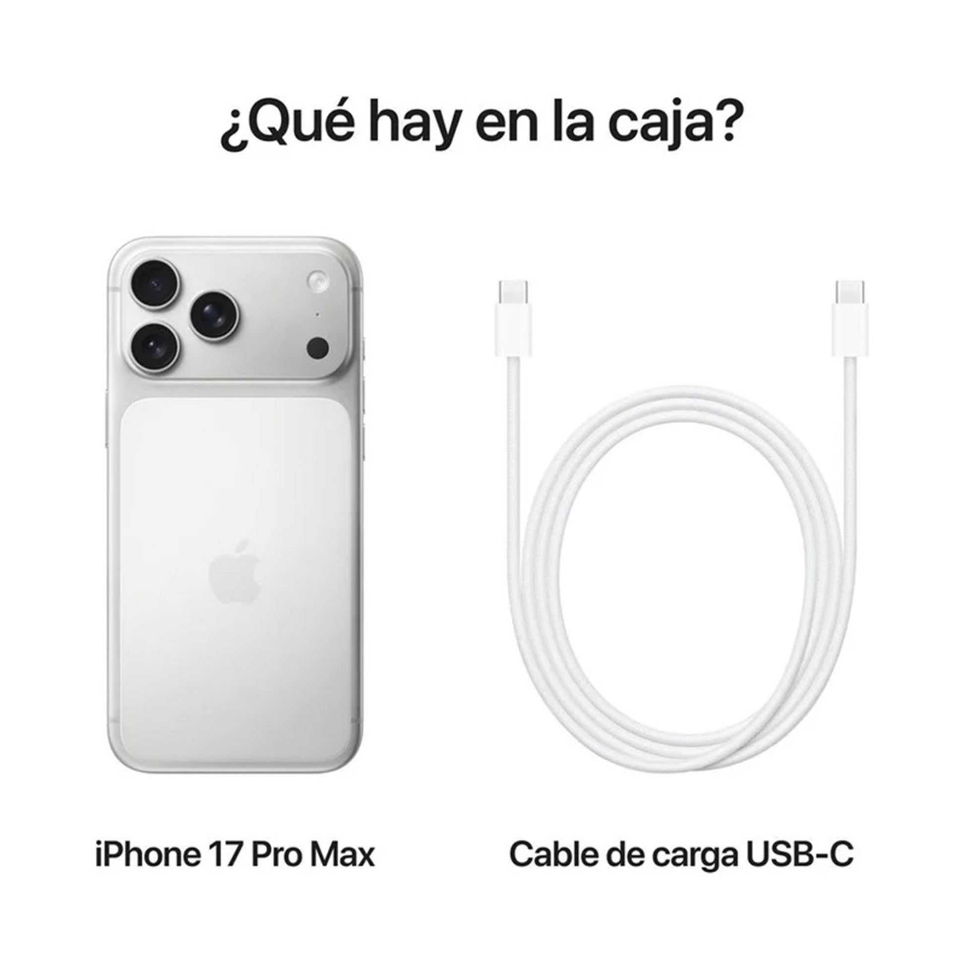 iPhone 17 Pro Max Plata 6