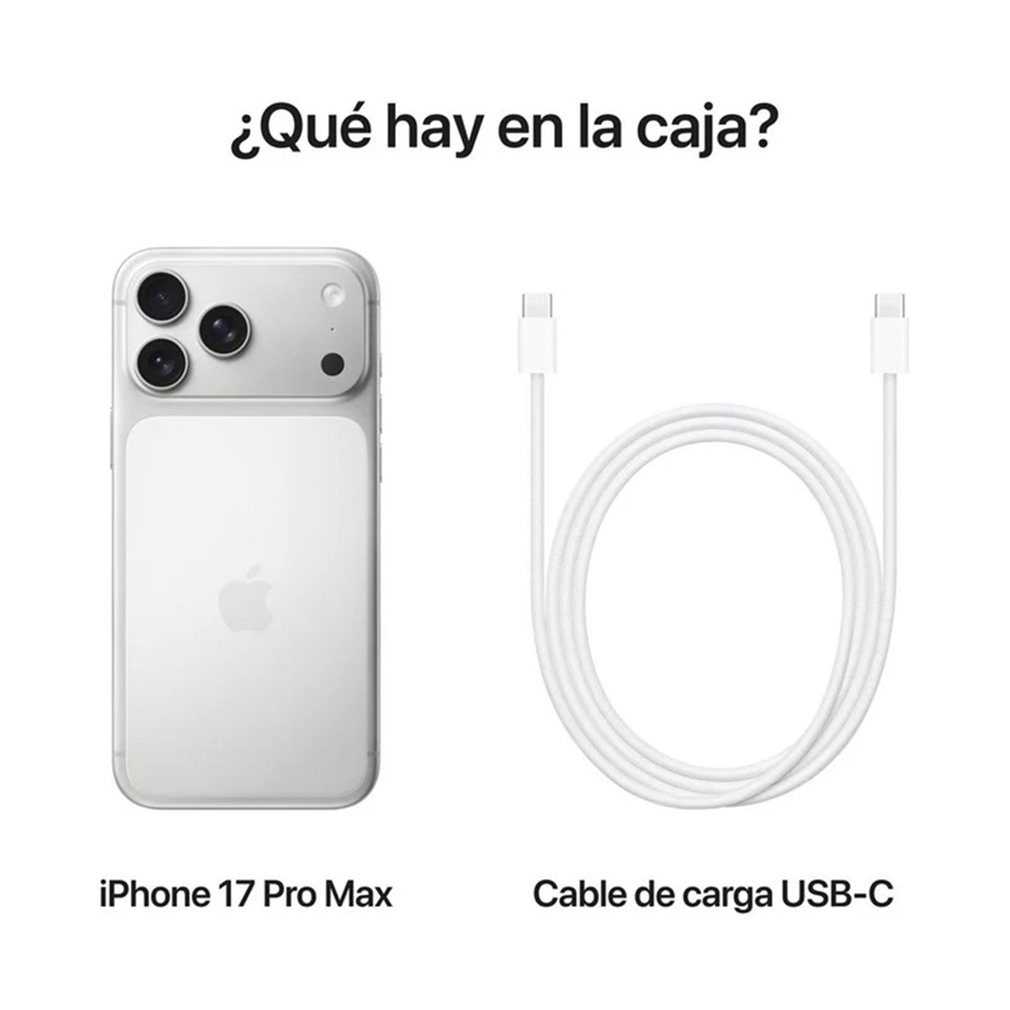 iPhone 17 Pro Plata 6