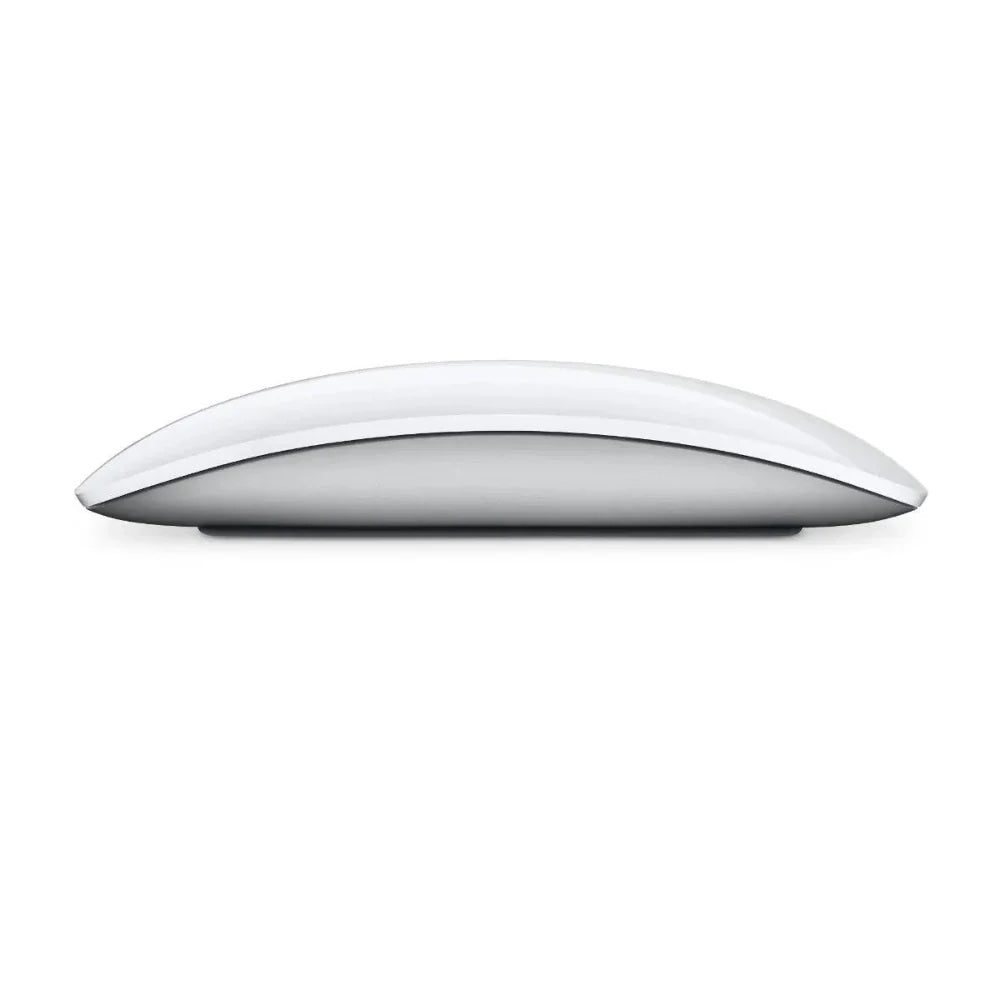 Magic Mouse generica 1