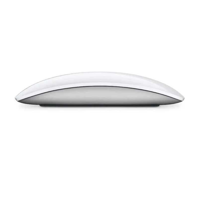 Magic Mouse generica 1